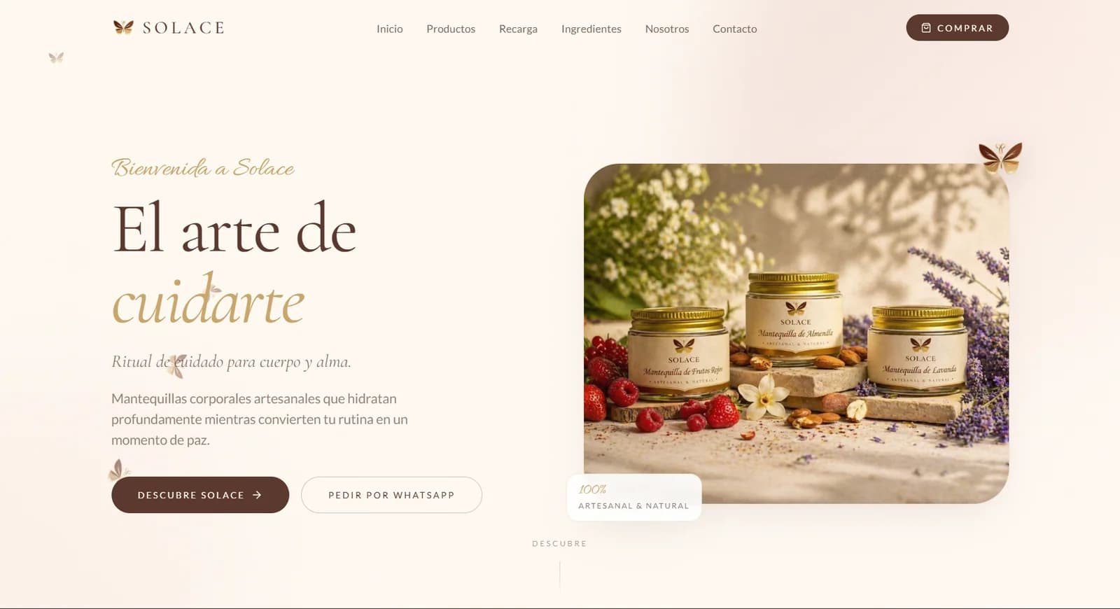 Vista previa de la página web de Solace